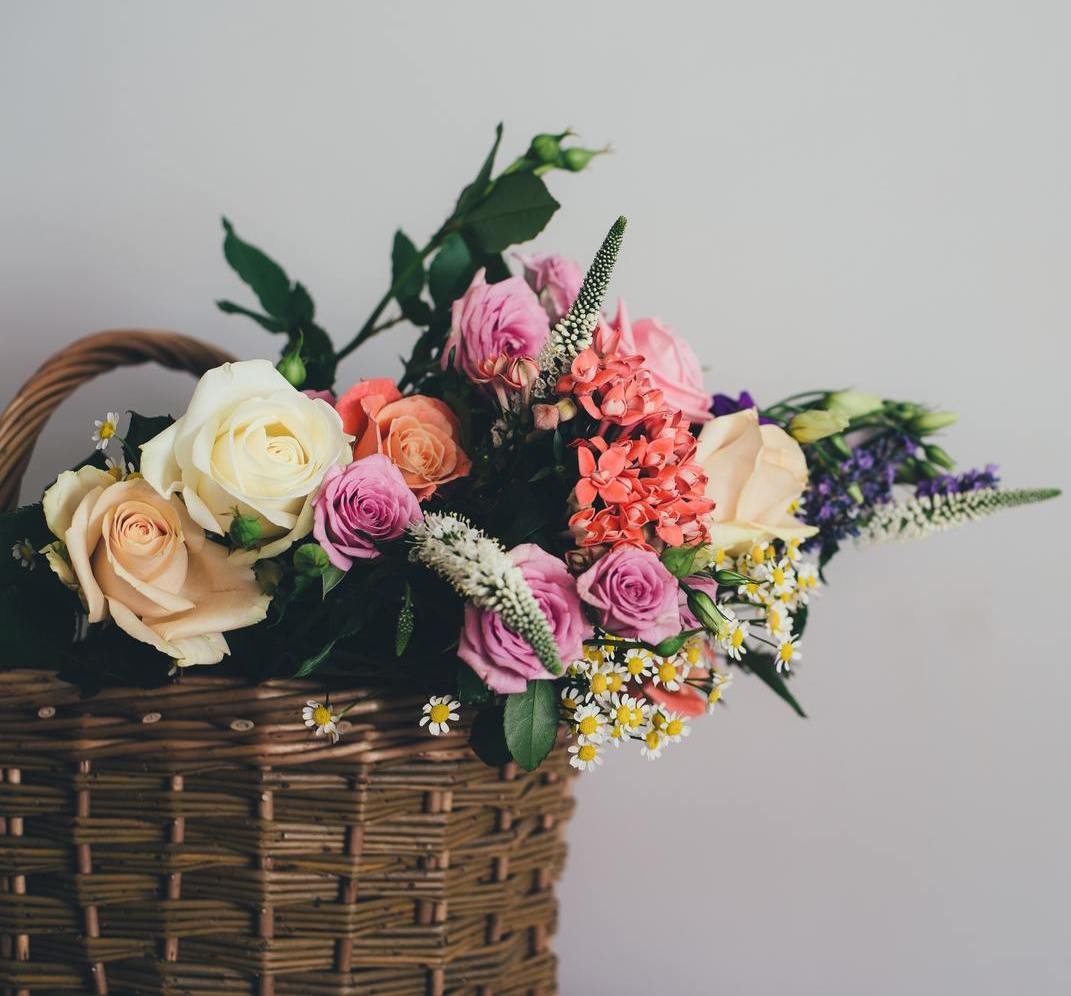 Описание изображения